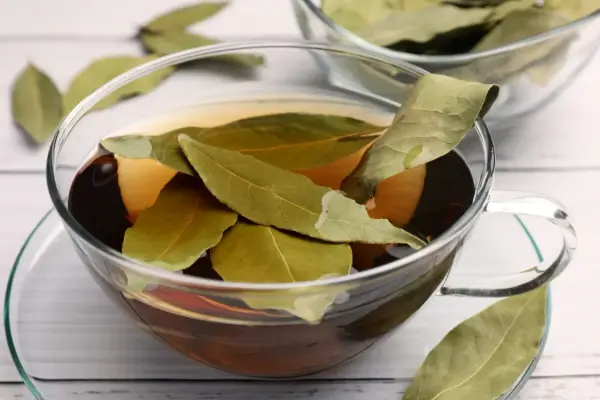 Liście laurowe na zmarszczki - Czy to naprawdę działa?